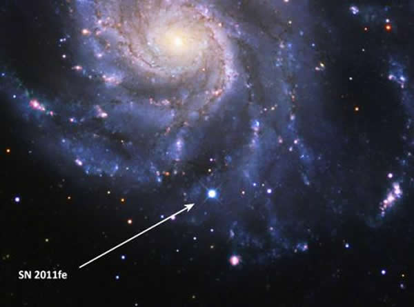 SN 2011fe是距离地球最近、最明亮的Ia类型超新星