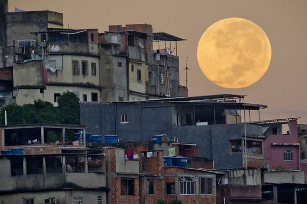 ������������Ӱ���������Ϊ�����ٲ�������ɷ��ӣ���ǰ������Ϊ��������ɵ��¸���ľ��񲡻��ߡ�ɱ�˻�����������ĳ���