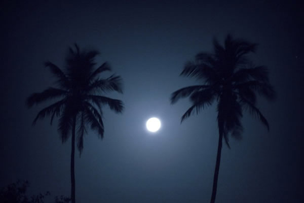 ��������ÿ�궼�ᷢ������һ�ν���2014��İ��·�