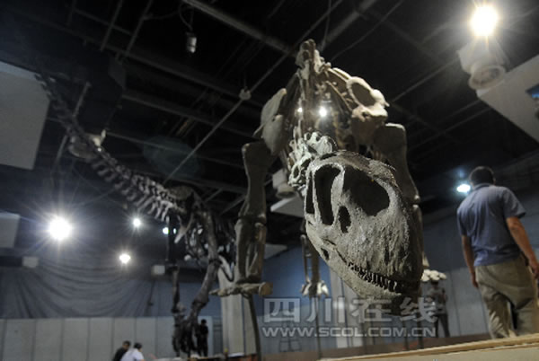 ����ر��Ŀ������������չ����ʽ��չ