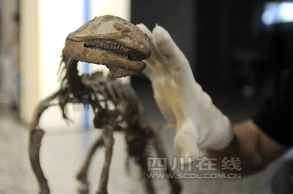 ����ر��Ŀ������������չ����ʽ��չ