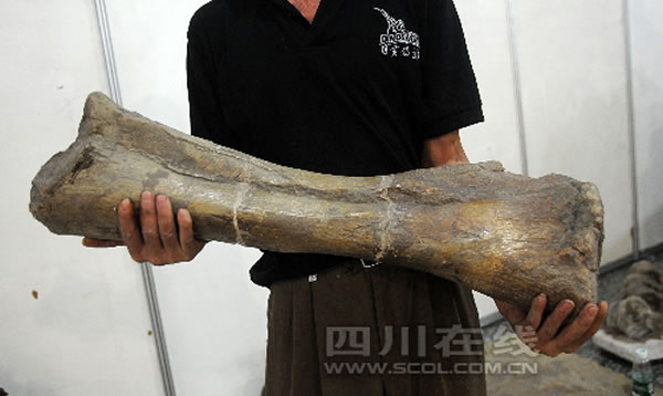 ����ر��Ŀ������������չ����ʽ��չ