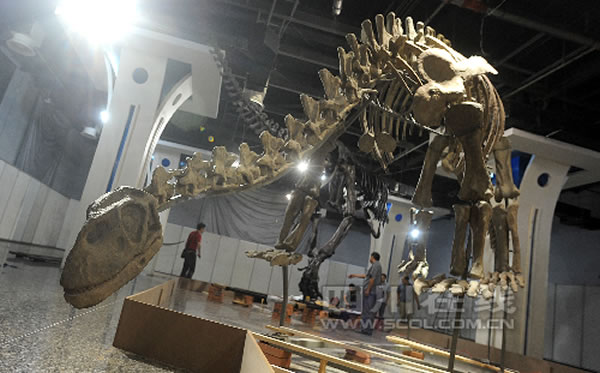 ����ر��Ŀ������������չ����ʽ��չ