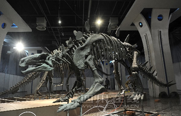 ����ر��Ŀ������������չ����ʽ��չ