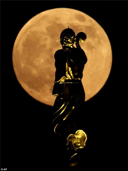 ������صġ�����������