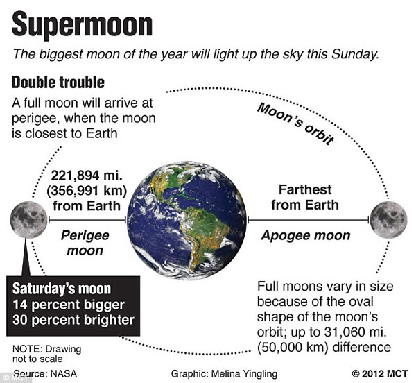 ������صġ�����������