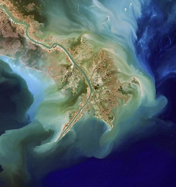 A dead zone-causing algal bloom stained the Gulf of Mexico green in 2007.