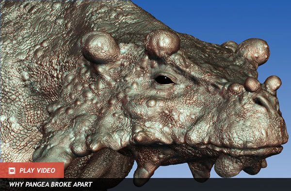 Bumpy-Faced Beastie Dominated Before Dinos