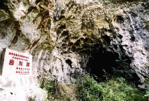 九坝岩灰洞“桐梓人”遗址