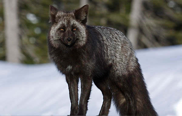 ��ѱ����������ı���������Ϊ�����µ��о�����Щ��Ϊ�ı����Ի�ѧ�ĸı�����ϵ��