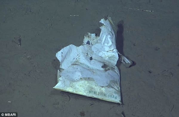 太平洋海床上数量惊人的人造垃圾