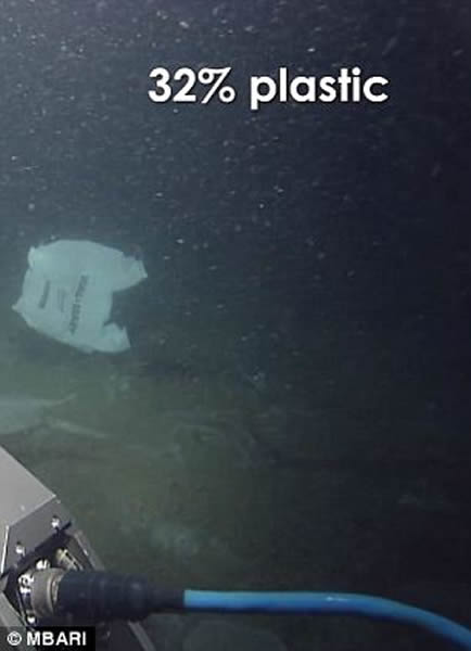 太平洋海床上数量惊人的人造垃圾