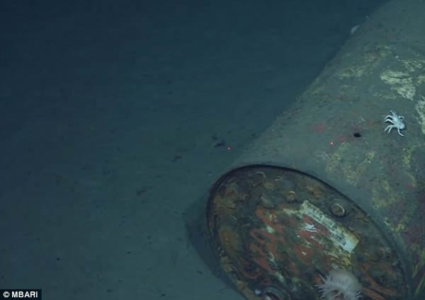 太平洋海床上数量惊人的人造垃圾