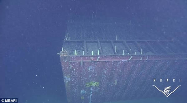 太平洋海床上数量惊人的人造垃圾