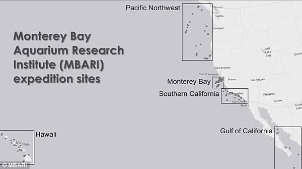 太平洋海床上数量惊人的人造垃圾