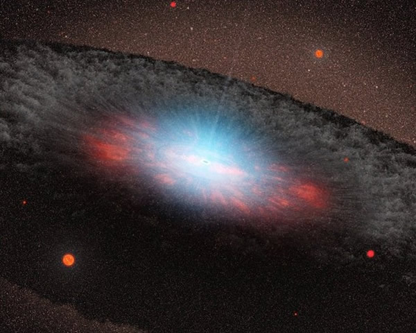 坠入黑洞或非被撕碎而是烧死