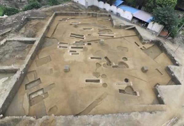 ��׽�ս������ĹȺ�����ֳ�