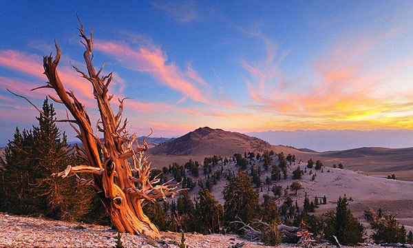 ����������ϵĵ����֣�5000��ǰ�Ĵ���غ�β��