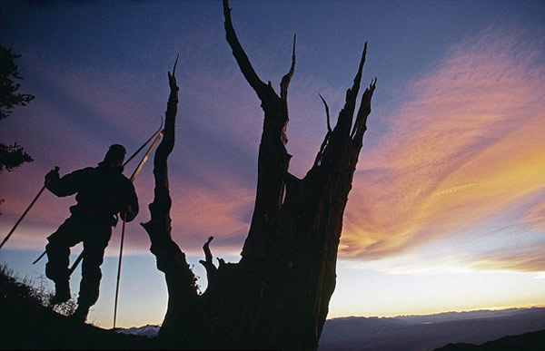 ����������ϵĵ����֣�5000��ǰ�Ĵ���غ�β��