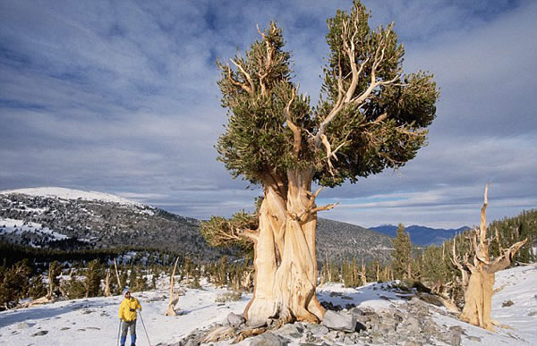 ����������ϵĵ����֣�5000��Ĵ���غ�β��