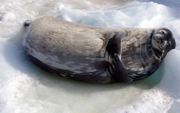 ���������ĺ�������