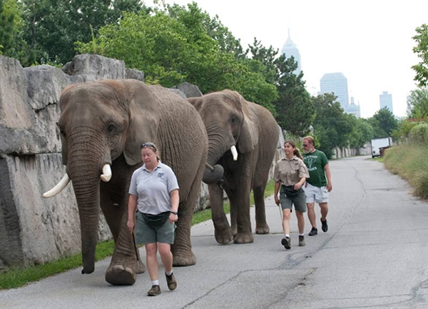 ����ʱ���󼸺�ȫ���������˶�����������