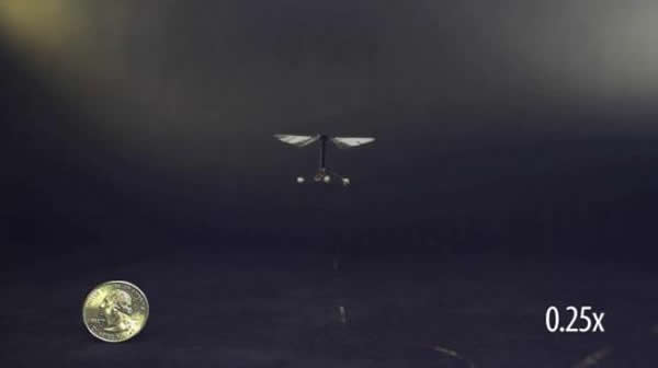 科学家研制出首个机器苍蝇