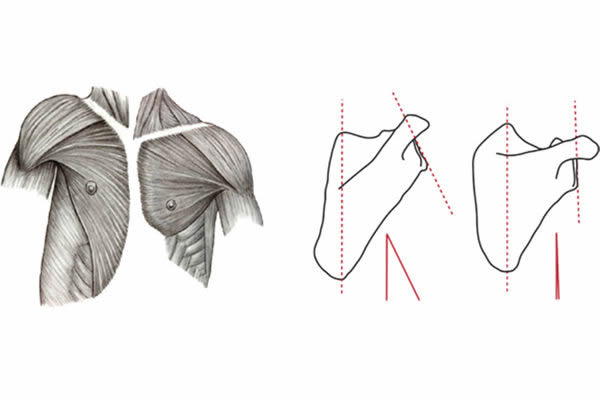 ������ͼƬ��ʾ�����ɣ�����ͼ����ߣ������ࣨ����ͼ���ұߣ����λ�ü���͹����Ĳ��졣