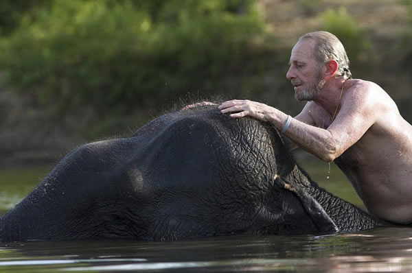 印尼广种棕榈破坏森林致人象开战