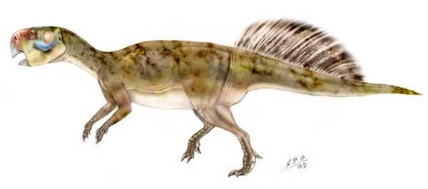 ����������ԭͼ