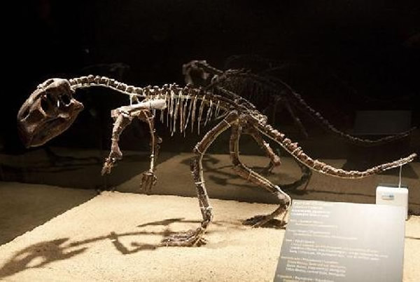 ����������ʯ