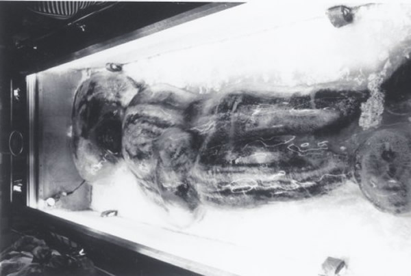 “明尼苏达冰人”再现证明大脚怪存在?