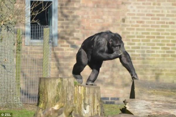 �о���Ա˵����������Ƿ�Ӯ�ð�������������ɶ�������Ϸ�������顣