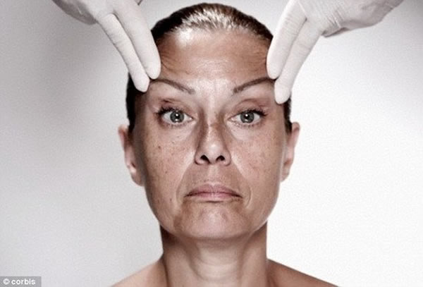 ��ѧ�ұ�ʾ����˯��״̬�е�Ƥ����ϸ������������Ƥ��˥�ϣ�ʹ�������ձ����ഺ��פ