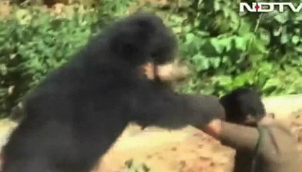 ӡ����������Ԯ�侮���ܷ���Ϯ��