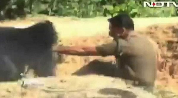 ӡ����������Ԯ�侮���ܷ���Ϯ��