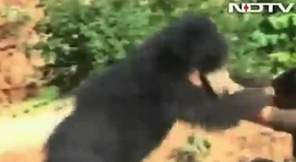 ӡ����������Ԯ�侮���ܷ���Ϯ��