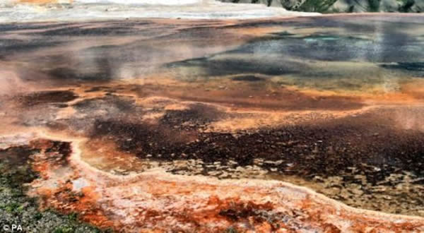 ѧΪ̫£󲿷ֵݻʯҹ԰ϼЪȪصһоʾ10ڣжֲﶼӵʧ