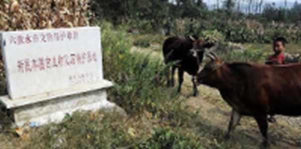 盘县羊圈三叠纪海生爬行动物群遗址