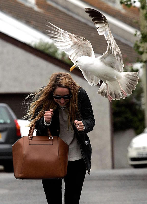 Ӣ����ŸϮ��·��