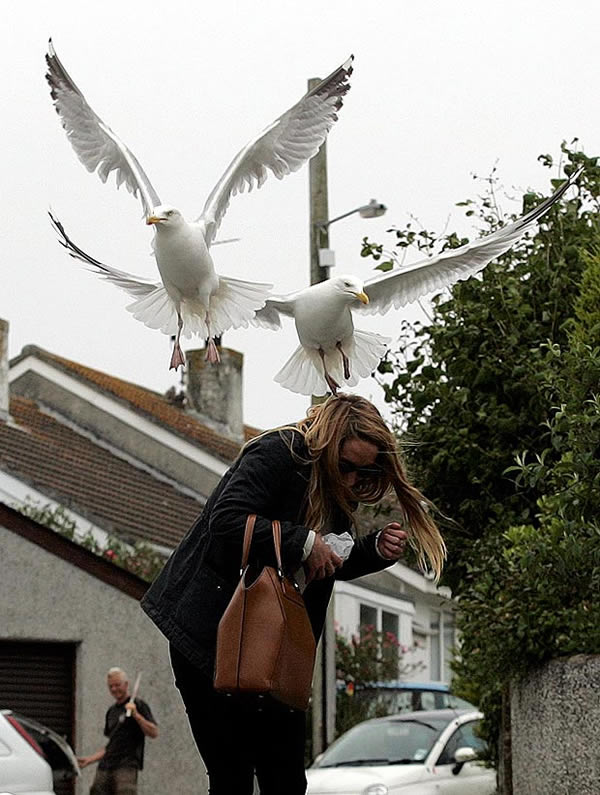 Ӣ����ŸϮ��·��