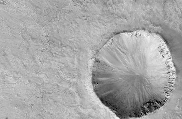 �����ɿ�����ͼ��