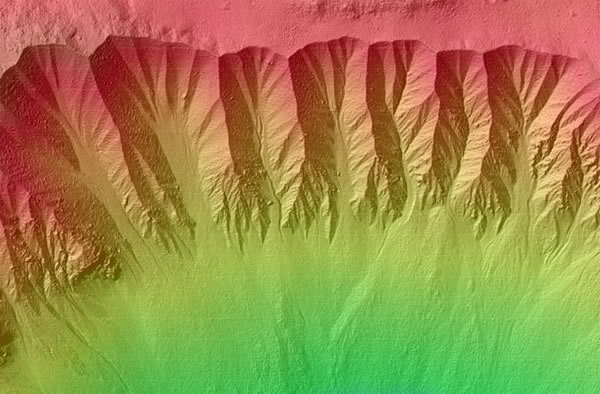 �����ɿ�