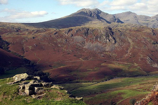 英格兰最高峰竟然发现深海章鱼尸体 - 神秘的地