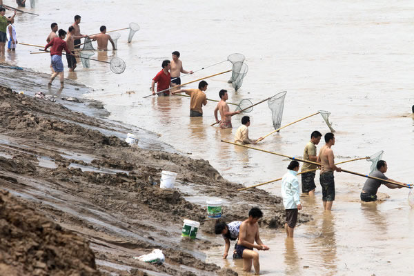 ��������Ͽ��ӻƺӵ�ˮ��ɳ���ڶ�Ⱥ���ڻƺӱ�����