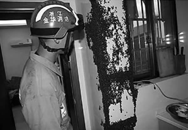 ������Ա����������а�æ