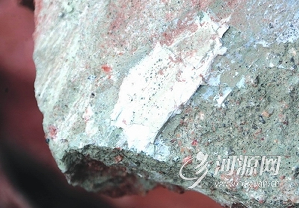 河源新发现恐龙骨骼化石