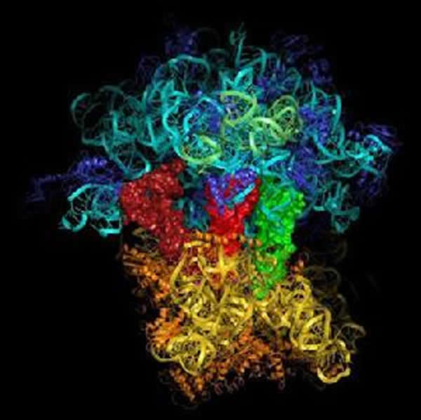 法科学家首次直接测量范德华力
