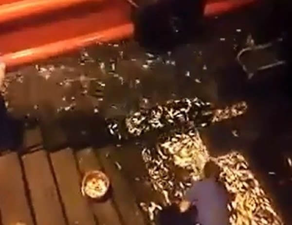 疑遭大鱼追赶,香港中环惊现小鱼“集体自杀”