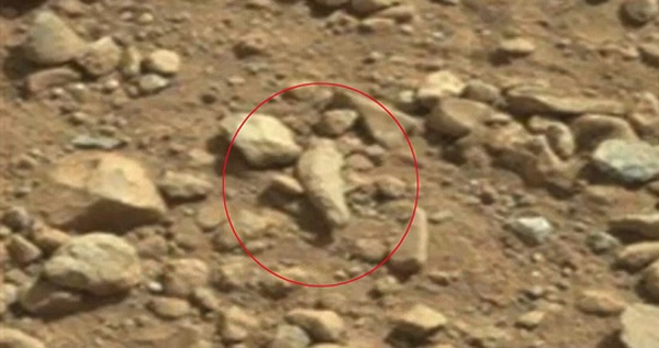 �����桱���ڻ�����������Ļ��棨����ͼ��